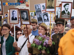 Воронежцам предложили принести на Бессмертный полк портреты участников спецоперации на Украине