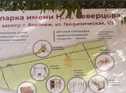 Невезучий воронежский парк не знает, что его ждет