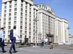 Стало известно об уровне доверия воронежцев к Государственной Думе