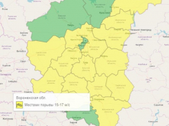 Жёлтый уровень опасности из-за погоды объявлен в Воронеже и области