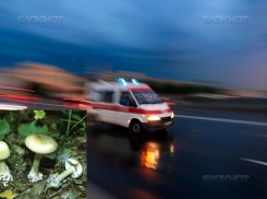 В Воронежской области 3 взрослых и ребенок умерли от ядовитых грибов