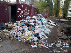 Воронежцы несколько недель пребывают в шоке от вида своего двора