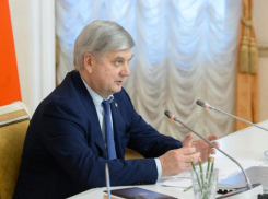  Губернатору Гусеву подсказали, как помочь воронежским семьям с детьми в период пандемии