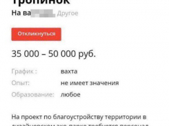 Воронежцам предлагают работу «протаптывальщика тропинок» за 50 тысяч рублей