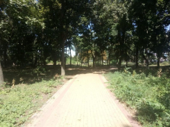 В Воронеже назвали дату выбора лучшего проекта по обновлению Бринкманского сада