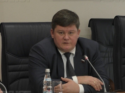 На вице-спикера Воронежской горДумы подали в суд 