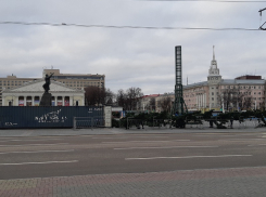 В Воронеже началась установка новогодней елки