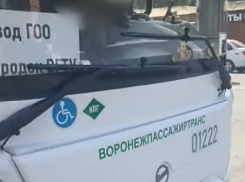 Жесткий конфликт из-за ребенка произошел в воронежском автобусе