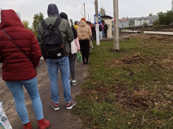 «Приходится стоять по полчаса»: утреннюю очередь в маршрутку сняли жители воронежского микрорайона 