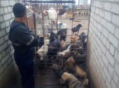 Для воронежского общественного деятеля Юрия Шамарина уходящий год запомнился разговором с монахом