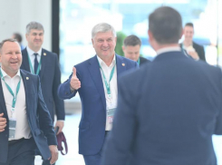 Воронежские власти готовятся уточнить список «привилегированных» инвесторов