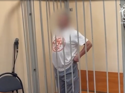 Водителя катера, насмерть сбившего 11-летнего мальчика на Воронежском водохранилище, отправили в СИЗО