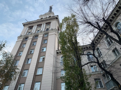 Бездыханность обратной стороны Сталинской башни показали на фоне воронежской действительности