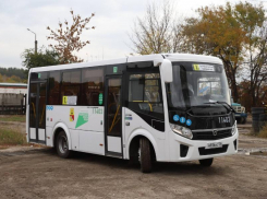 Об убытках воронежского автобусного перевозчика рассказали аудиторы