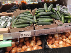 Цены на огурцы догнали виноград и авокадо в Воронеже 