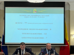 Две семерочки: что доложили о коммунальных авариях заместителю воронежского мэра 