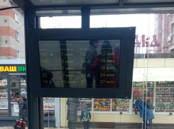«Умным табло» заменили последствия глупых поступков в Воронеже