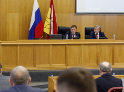 Важный законопроект, касающийся участников СВО, предложили принять воронежским депутатам