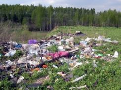 В Воронежской области разрабатывают новые методы по переработке мусора