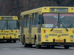 В Воронеже 20 автобусов «Народного маршрута» будут ездить на газе