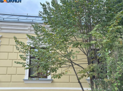 Возможное снижение скорости проводного интернета в Воронеже прокомментировали Минцифры 