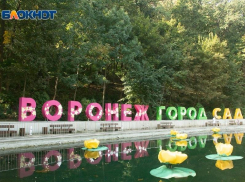 До 300 охранников будут следить за порядком на фестивале «Город-Сад» в Воронеже 