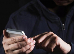 Школьница пожаловалась на терроризм коллекторов в Воронеже