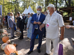 Чиновники назвали причину секвестра бюджета фестиваля «Город-сад» в Воронеже
