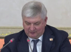 Александр Гусев поделился планами запуска метробуса в Воронеже