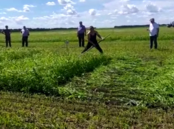 Ловкость скоростного косаря показали на видео в Воронежской области 