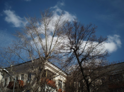 Какой будет погода в Воронеже в первые выходные апреля