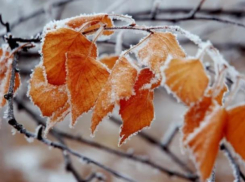 Северо-западный воздух принесет заморозки на выходных в Воронеж 