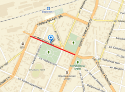 В Воронеже на два дня перекроют улицу из-за обрезки деревьев