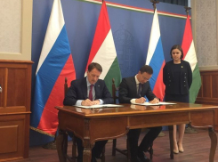 В Воронежском государственном университете могут начать изучение венгерского языка