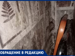 «Ребенок кашляет от спор», – УК превратила многоэтажку в дом с плесенью в Воронеже