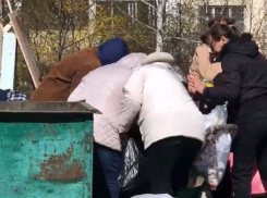 Дележку просроченных продуктов около помойки сняли на видео в Воронеже