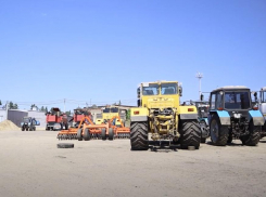 Разберёмся без «Джонов»: воронежские фермеры превращают заброшенную землю в плодородные поля