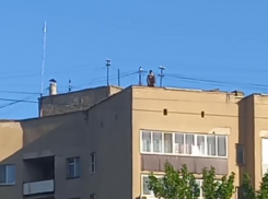 Подростковый досуг на крыше снял на видео житель Воронежа 