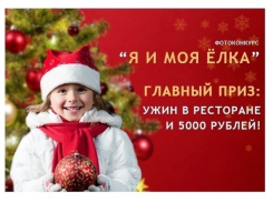 Стартовало голосование в конкурсе «Я и моя елка»!