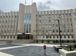  Депутат с двумя фамилиями работает в Воронежской облдуме 