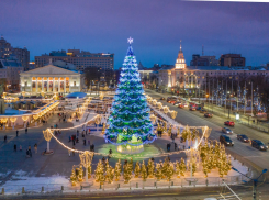 Новогодний график работы ледового катка и площади Ленина напомнили воронежцам