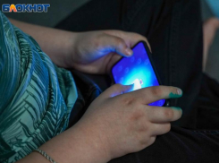 Каждый пятый опрошенный родитель из Воронежа считает, что подросткам не надо общаться в интернете