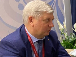 Губернатор Гусев назвал причину отсутствия воронежского стенда на Петербургском экономическом форуме