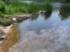 «Противное зрелище»: состояние реки с пленкой обеспокоило воронежцев 