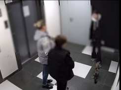 Грязное обращение с собачьими экскрементами попало на видео в Воронеже