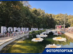 Поиски мужа и атмосфера лета: чем удивил воронежский «Город-сад» в 2024 году