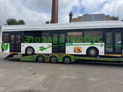 Какая судьба ждет электробусы в Воронеже – мнение горожан 