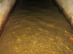 Для спасения дома в Воронеже надо избавиться от вонючего бассейна