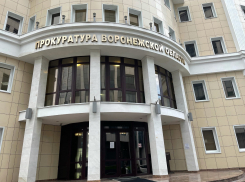 «Почему выбирают нужных, а не умных»: прокуратура выявила нарушения при выборах главы администрации поселения в Воронежской области