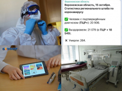 Коронавирус в Воронеже 15 октября: +217 зараженных, 11 смертей и открытие ковидных отделений 